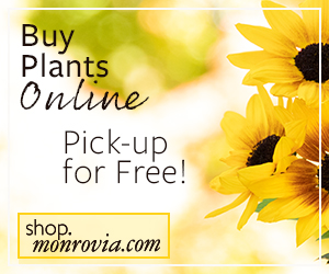 Buy Plants Online