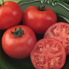 tomatoes: culinary gardening harvest